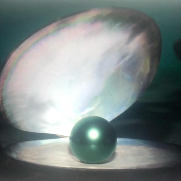 🌹 TIEKS TAHITIAN PEARL BALLERINA FLATS 🌹SIZE 8 🌹 - Picture 7 of 16